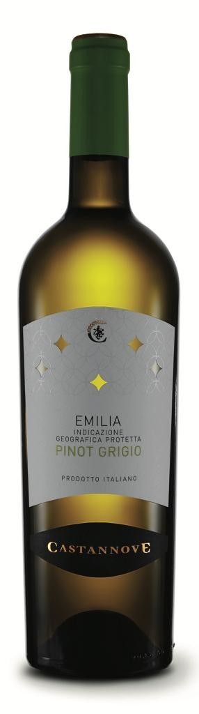 Pinot Grigio EMILIA IGP BT DA 2023